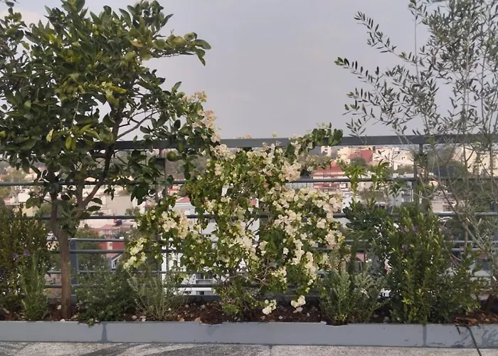 Condesa - Roma Luxury 204 Mexiko-Stadt