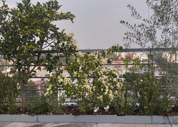 Condesa - Roma Luxury 204 Apartment